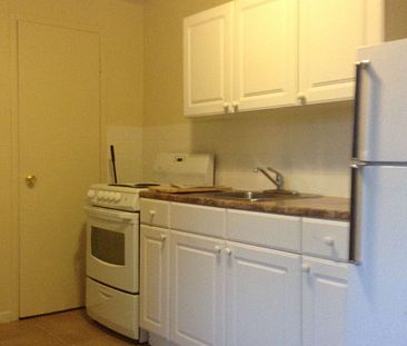 Cozy and Clean Bachelor/Studio Apt for Rent at King and Dufferin! - Photo 3