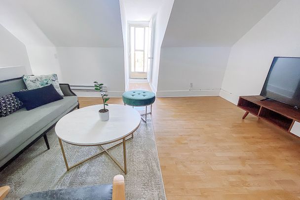 For Lease - 111 Gladstone Avenue, Toronto, Ontario - Photo 1