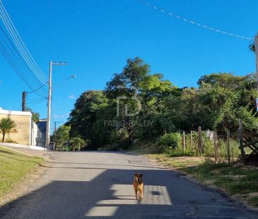 Imoveis - Em Caputera - Photo 2