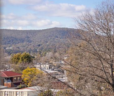 6/6 Stornaway Road, Queanbeyan NSW 2620 - House For Rent | Domain - Photo 3
