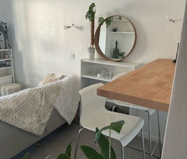 Location Appartement 2 pièces 24m² SIX FOURS LES PLAGES 83140 - Photo 3