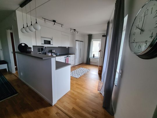 Lantmannagatan, Göteborg - Photo 1