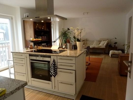 APPARTEMENT 2 PIÈCES À BÂLE - ALTSTADT/GROSSBASEL, MEUBLÉ, TEMPORAIRE - Foto 1