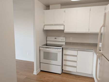 For Lease - 1320 Richmond Road Unit# 320, Britannia - Lincoln Heights and Area, Ontario - Photo 2