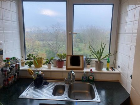 Guide Price £1,800 pcm - Available 17/01/2026 - Unfurnished - Photo 4