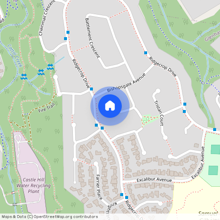 13 Guineviere Court, NSW 2154, Castle Hill