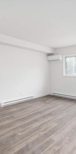 1 CH - 1 SDB - Montréal - $1,245 /mo - Photo 1