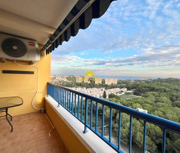 TWO-BEDROOM APARTMENT - DEHESA DE CAMPOAMOR - Photo 1