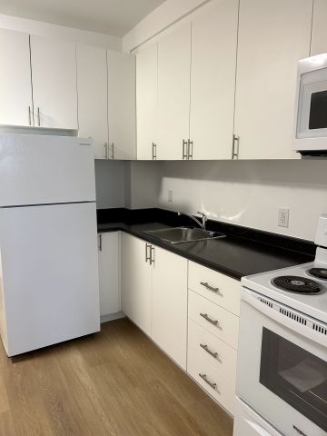 For Lease - 1293 Gerrard Street Unit# 1, Toronto, Ontario - Photo 4