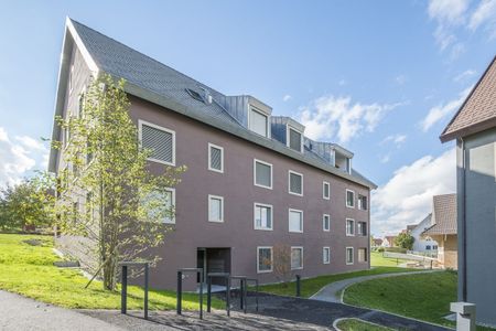 Your new home? Attractive and modern penthouse apartment in Bonstetten - Photo 5