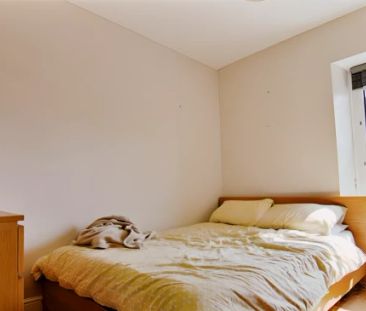 10 Bed 7 Bath - Photo 6