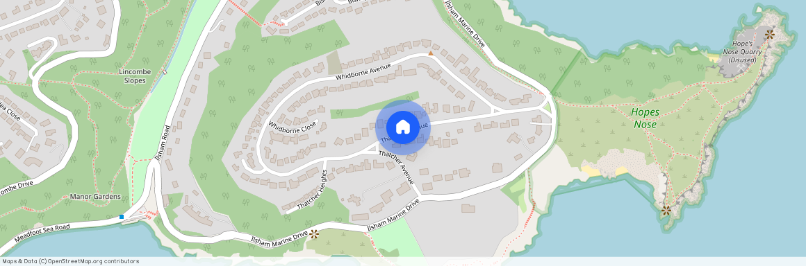 Thatcher Avenue, TQ1, Torquay
