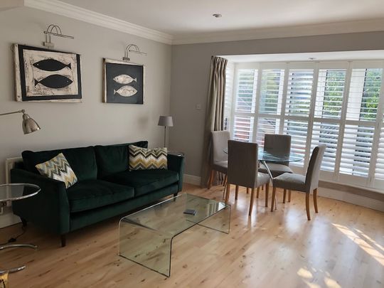 Ballsbridge Wood, Ballsbridge Dublin 4 - Photo 1