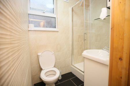 Bedsit, King Richard Street, CV2 - Photo 4