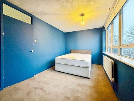 Napier Street, Newcastle Upon Tyne, NE2 - Photo 2