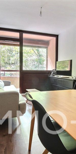 Location Appartement 1 pièce 27m² TOULOUSE 31400 - Photo 1