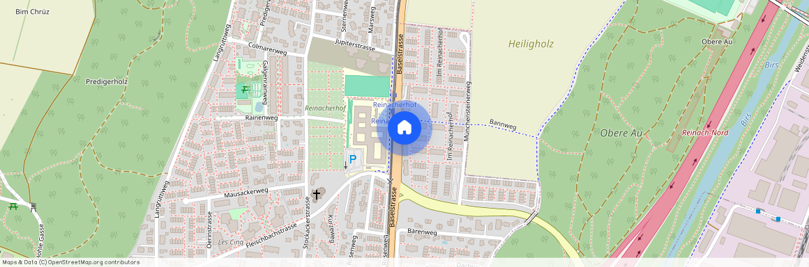 Im Reinacherhof 121, 4153 Reinach