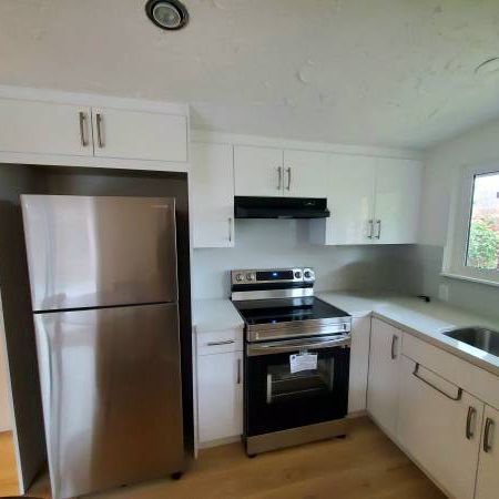 2br+1 den 1 bath avail march 1st (Burnaby) - Photo 3