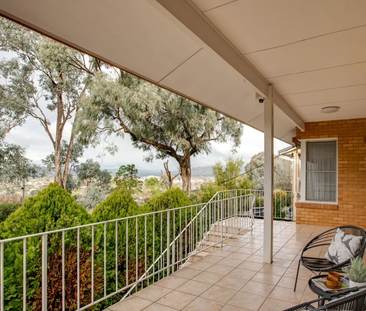 709 Yambla Avenue, Albury NSW 2640 - House For Rent | Domain - Photo 5