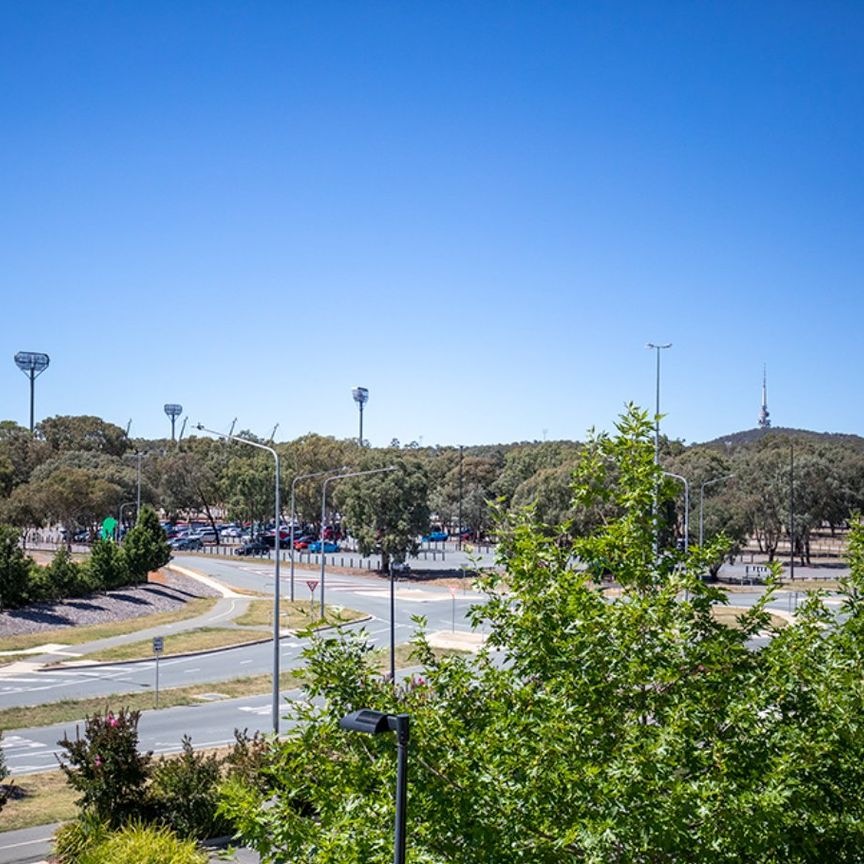 52/15 Braybrooke Street, Bruce ACT 2617 - Apartment For Rent | Domain - Photo 1