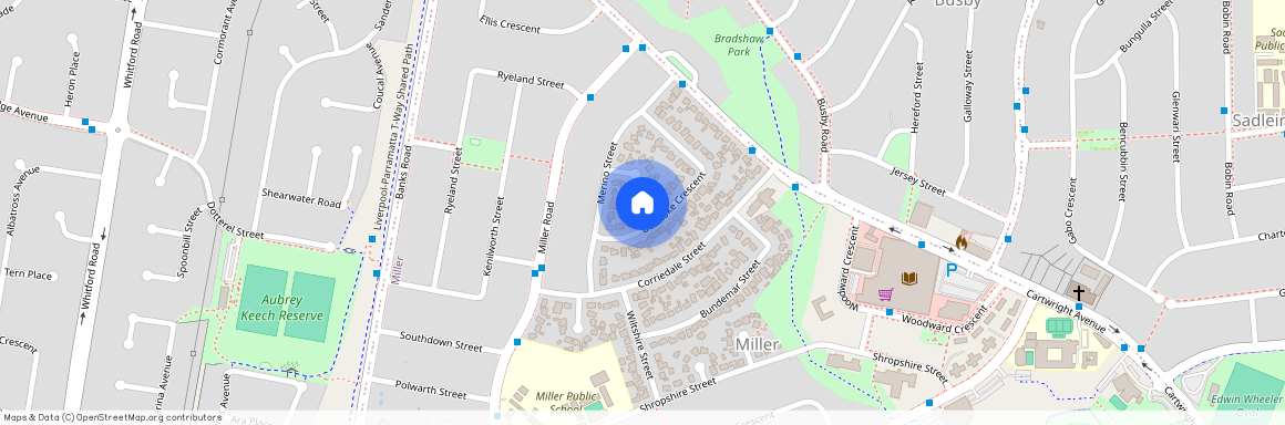 26 Boonoke Crescent, NSW 2168, Miller