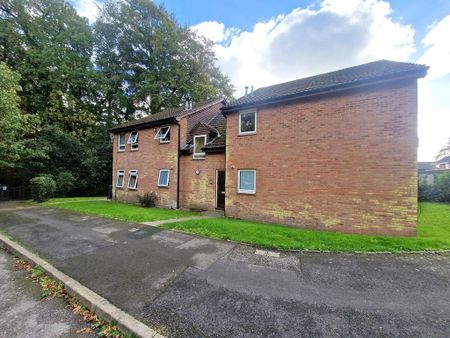 Studio to rent - Photo 5