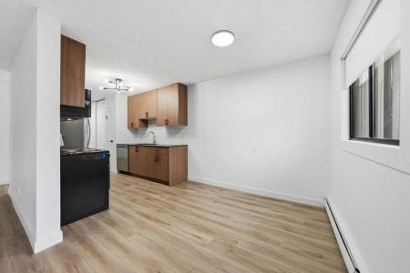 - 1 Bedroom at Lakewood Manor - Photo 4