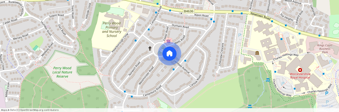 Lichfield Avenue, WR5 1NW