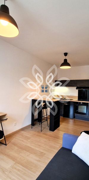 Location Appartement 1 pièce 26m² BRIOUDE 43100 - Photo 1