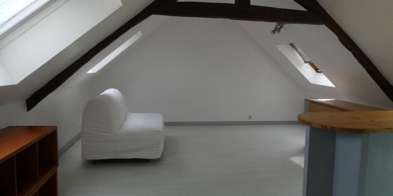 Location Appartement 1 pièce 23m² CHATEAUBRIANT 44110 - Photo 3