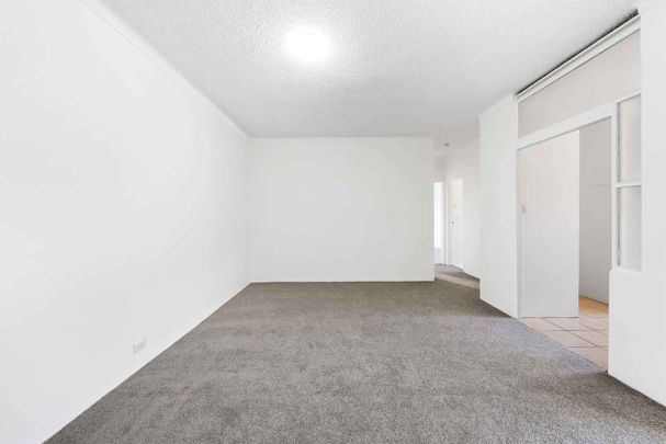 Freshly renovated! - Photo 1