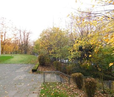 Gemütliche 3-Zi.-EG-Whg. mit sonniger Loggia - Foto 1