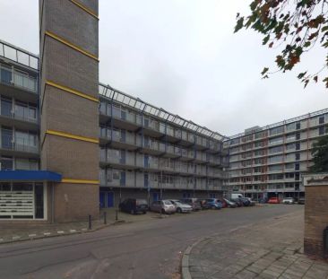 Appartement De Anjen 38, Leeuwarden - À louer - Photo 3