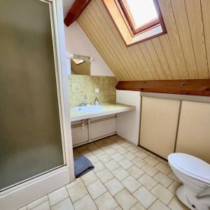 Studio meublé à louer à Roanne - Avenue de Paris - Photo 3