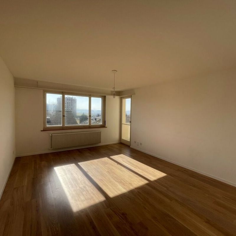 Eine schöne 4.5 Zimmerwohnung in Grenchen zu vermieten - Photo 1