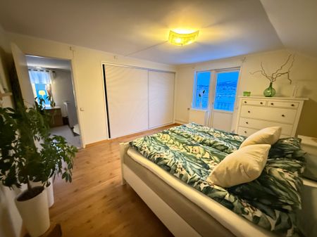 Ludvigsbergsvägen, Sundsvall - Foto 3