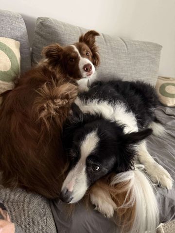 Forrestfield - Photo 2