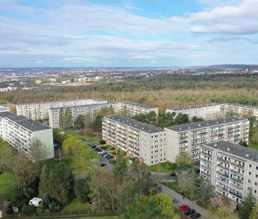 Quartier "Am Jägerpark"Am Jägerpark 46 in 01099 Dresden - Foto 1