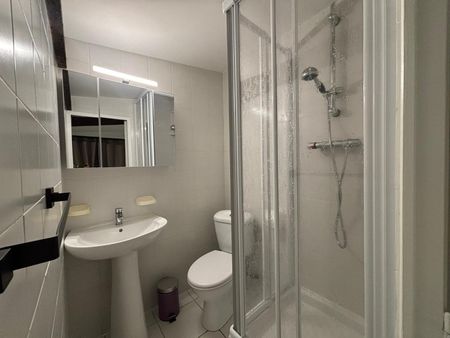 Location Appartement 1 pièce 20m² ANGERS 49100 - Photo 5
