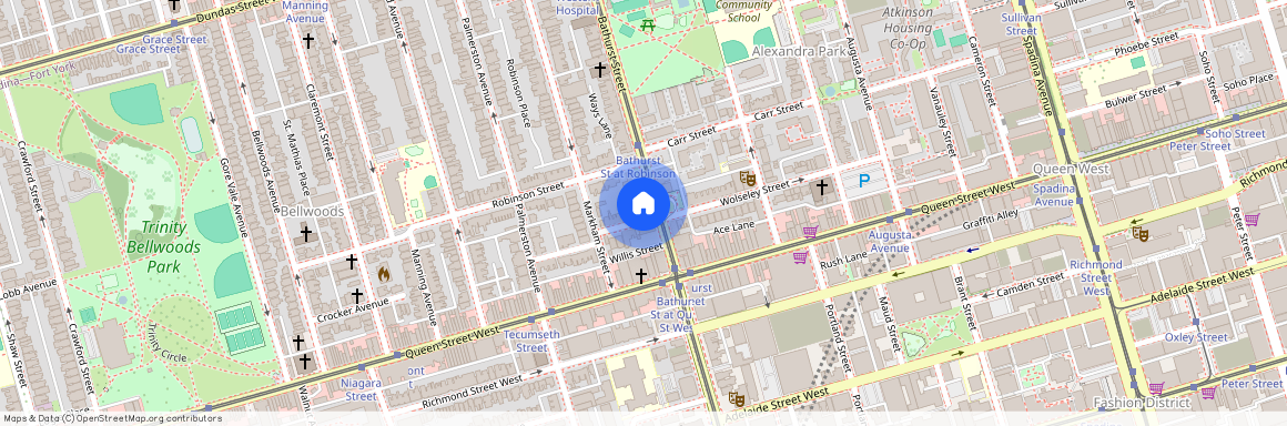 206 Bathurst Street Unit# Lower, Toronto