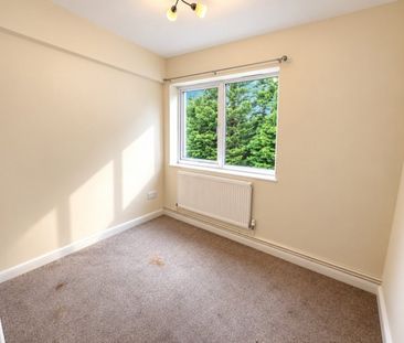2 bed Apartment - To Let - Photo 4