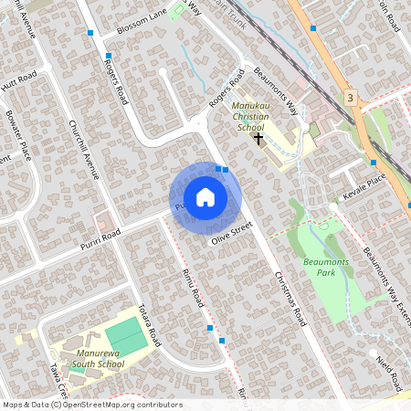 53A Puriri Rd, Manurewa, Manukau City