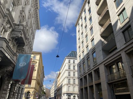 OPERNRINGHOF 3 Zimmer Wohnung/Büro I 2 Bedroom Apartment opposite Opera - Foto 2