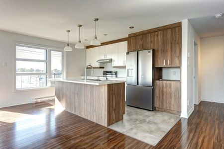 Appartement à Sainte-Marthe-sur-le-Lac - Photo 3