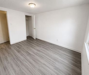 For Lease - 167 Ruggles Avenue, Richmond Hill, Ontario - Photo 4