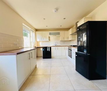 488b Doagh Road, Newtownabbey, BT36 6UF - Photo 6