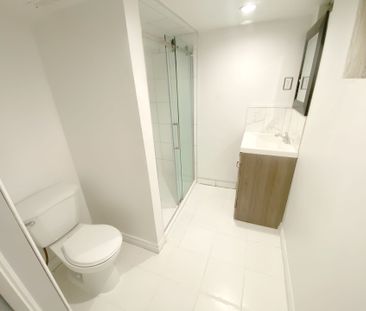 For Lease - 112 Leland Street Unit# Bsmt, Hamilton, Ontario - Photo 4