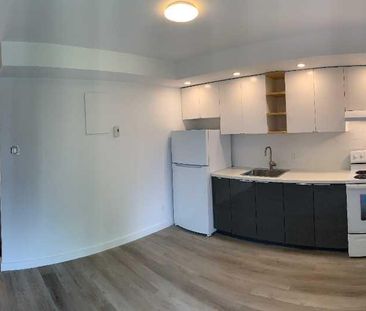 BEAU LOFT – CUISINE RÉNOVÉE – VILLERAY, MONTRÉAL - Photo 2
