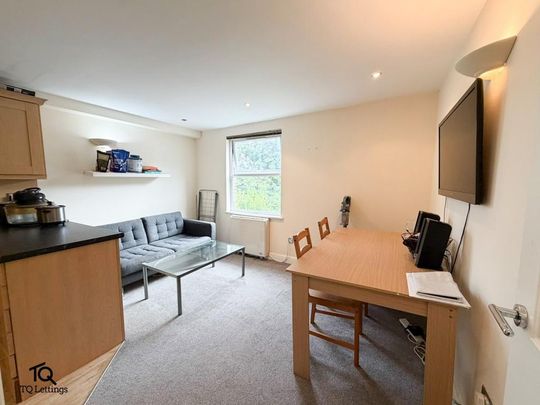 3 bedroom apartment to rent - Photo 1