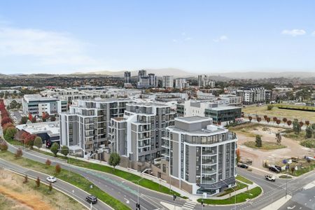 Apartment Living - Convenient Location - Photo 4